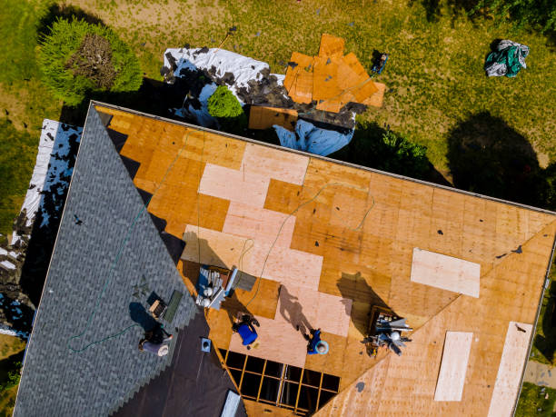 Best Commercial Roof Installation  in Patrick Af, FL