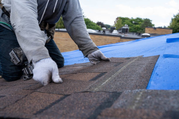 Best Local Roofing Companies  in Patrick Af, FL